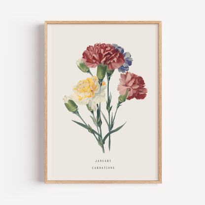 January Carnation Birth Flower Print