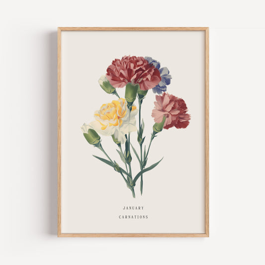 January Carnation Birth Flower Print