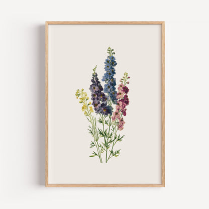 July Larkspur Birth Flower Print