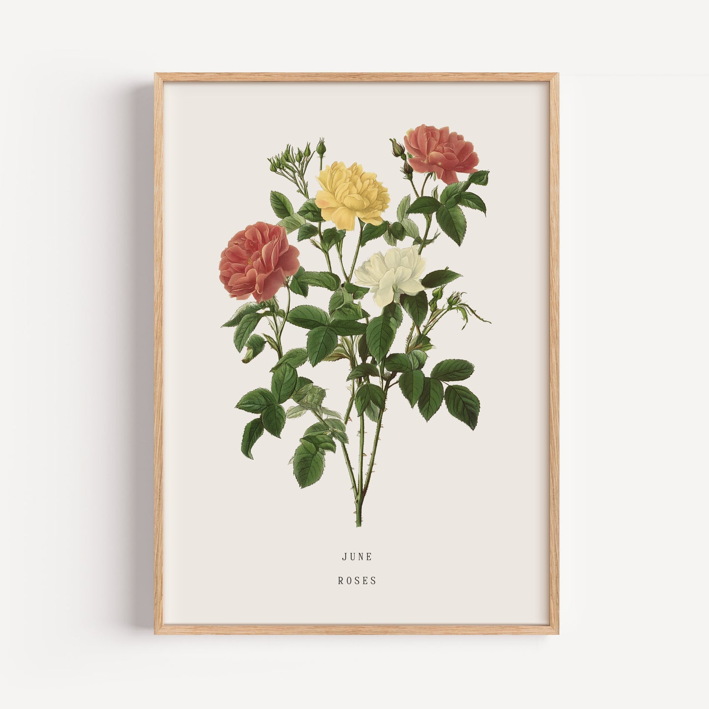 June Rose Birth Flower Print