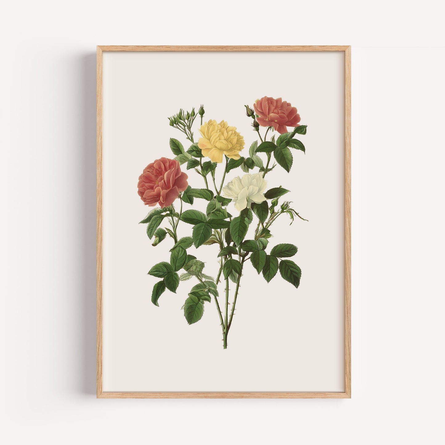 June Rose Birth Flower Print
