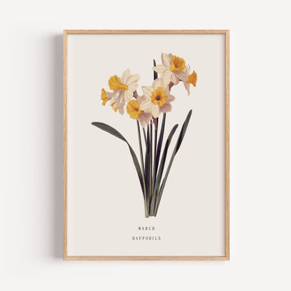 March Daffodil Birth Flower Print