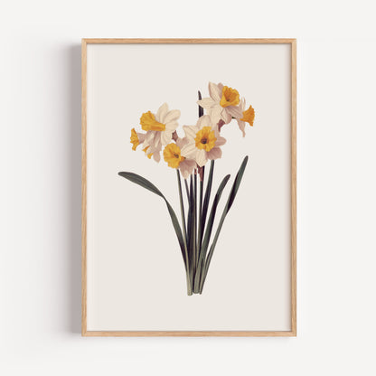 March Daffodil Birth Flower Print