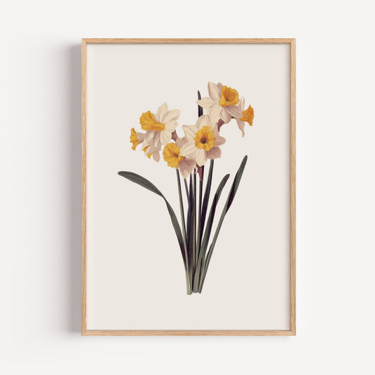 March Daffodil Birth Flower Print