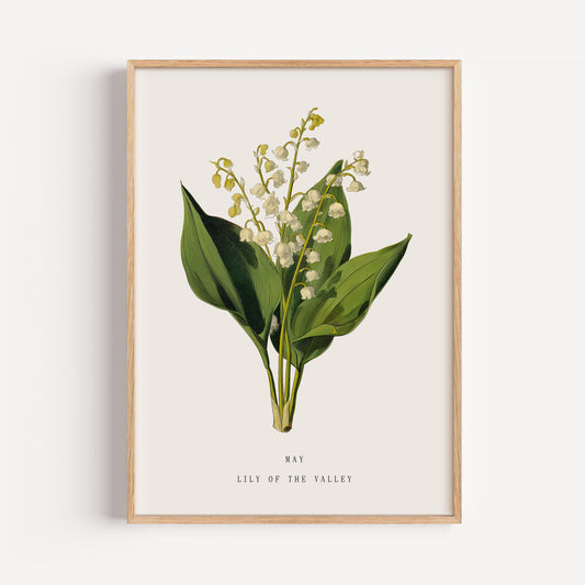 May Lily of the Valley Birth Flower Print
