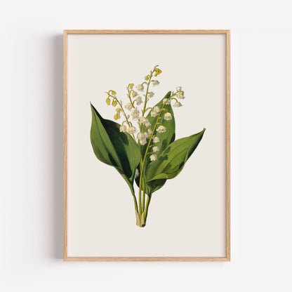 May Lily of the Valley Birth Flower Print