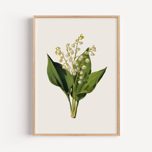 May Lily of the Valley Birth Flower Print