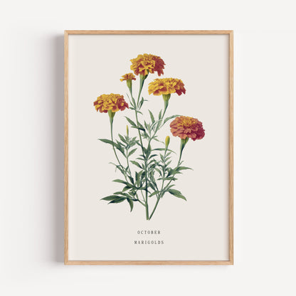 October Marigold Birth Flower Print