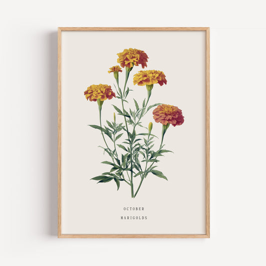 October Marigold Birth Flower Print