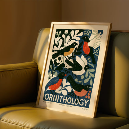 Ornithology Bird Print — Natural History