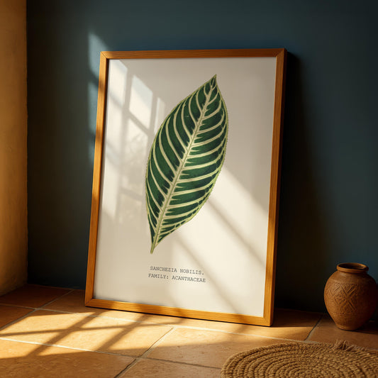 Noble Sanchezia Botanical Print