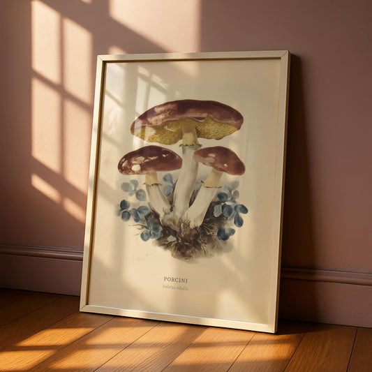 Porcini Mushroom Kitchen Print