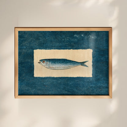 Sardine Fish Print 01 MASTER-landscape.jpg