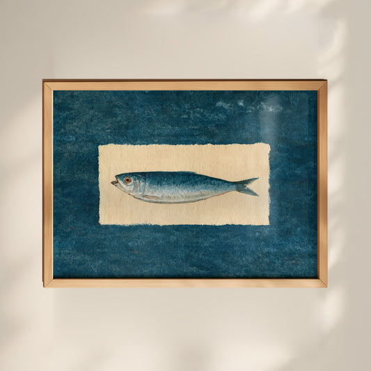 Sardine Fish Print 01 MASTER-landscape.jpg