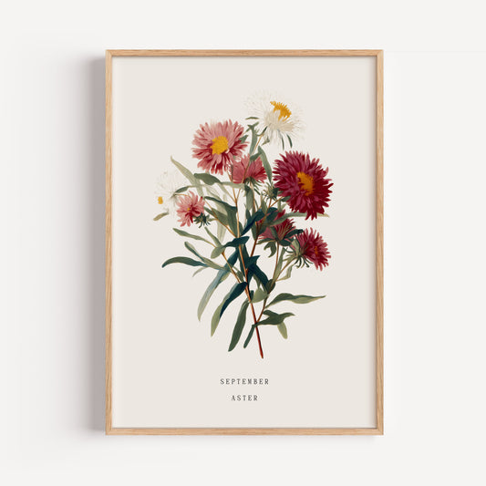 September Aster Birth Flower Print