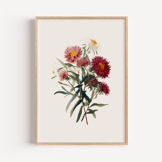 September Aster Birth Flower Print