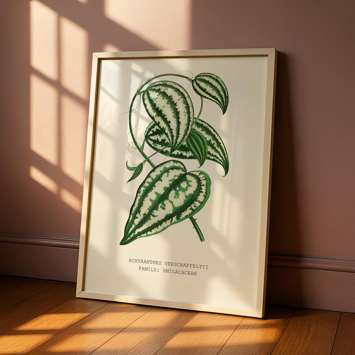 Smilax Botanical Print