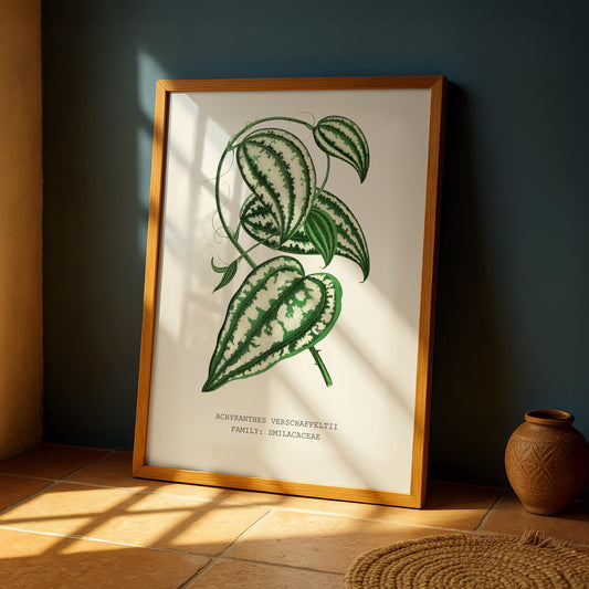 Smilax Botanical Print