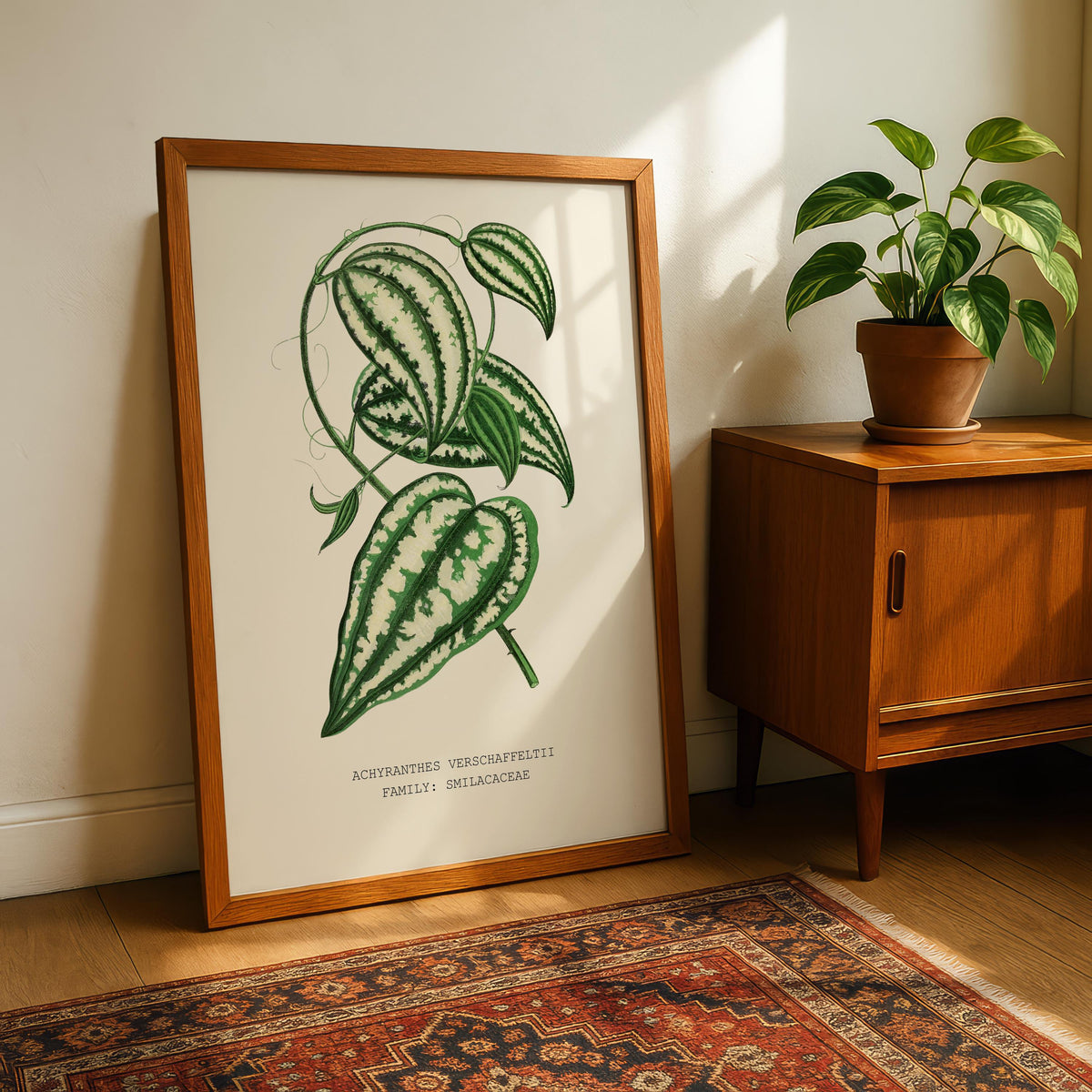 Smilax Botanical Print