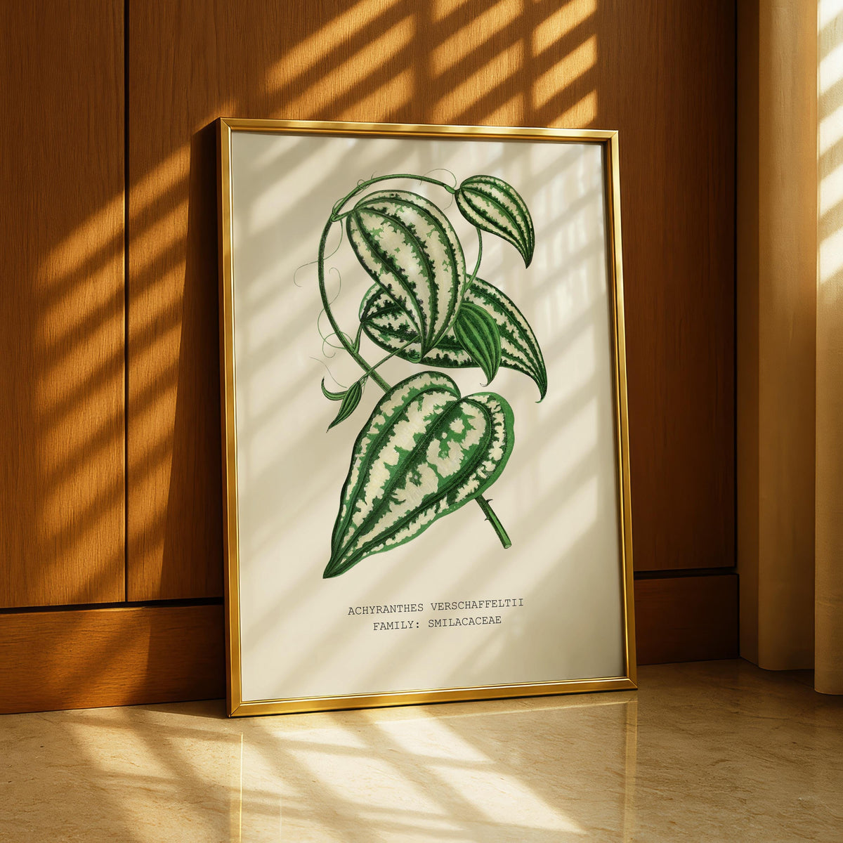 Smilax Botanical Print