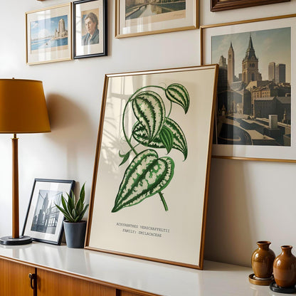 Smilax Botanical Print