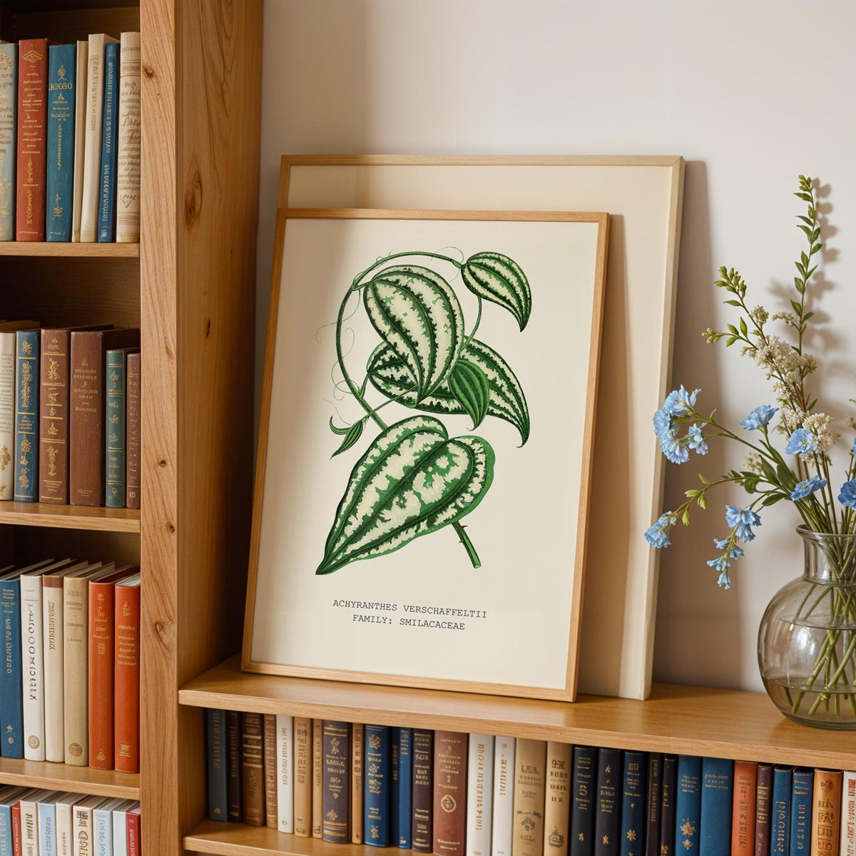 Smilax Botanical Print