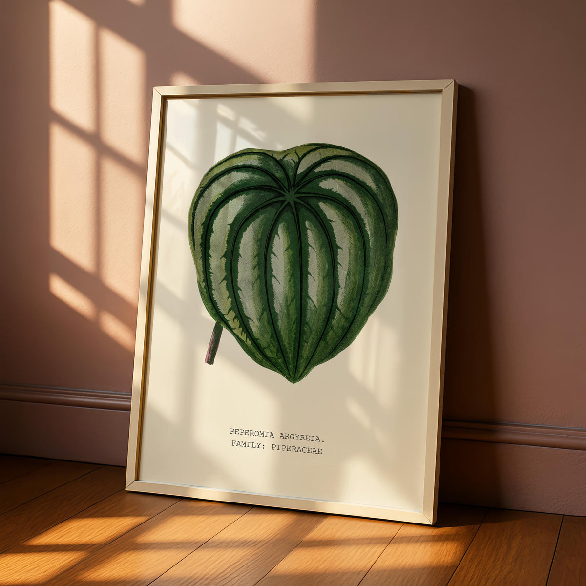 Watermelon Peperomia Print