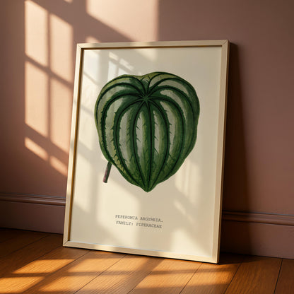Watermelon Peperomia Print