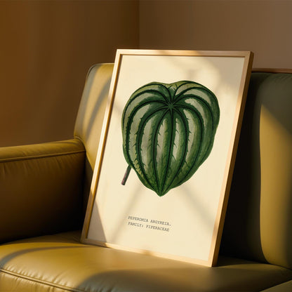 Watermelon Peperomia Print