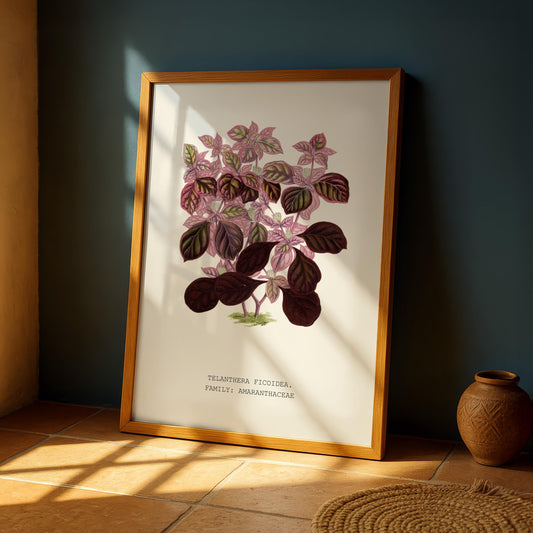 Joseph’s Coat Botanical Print