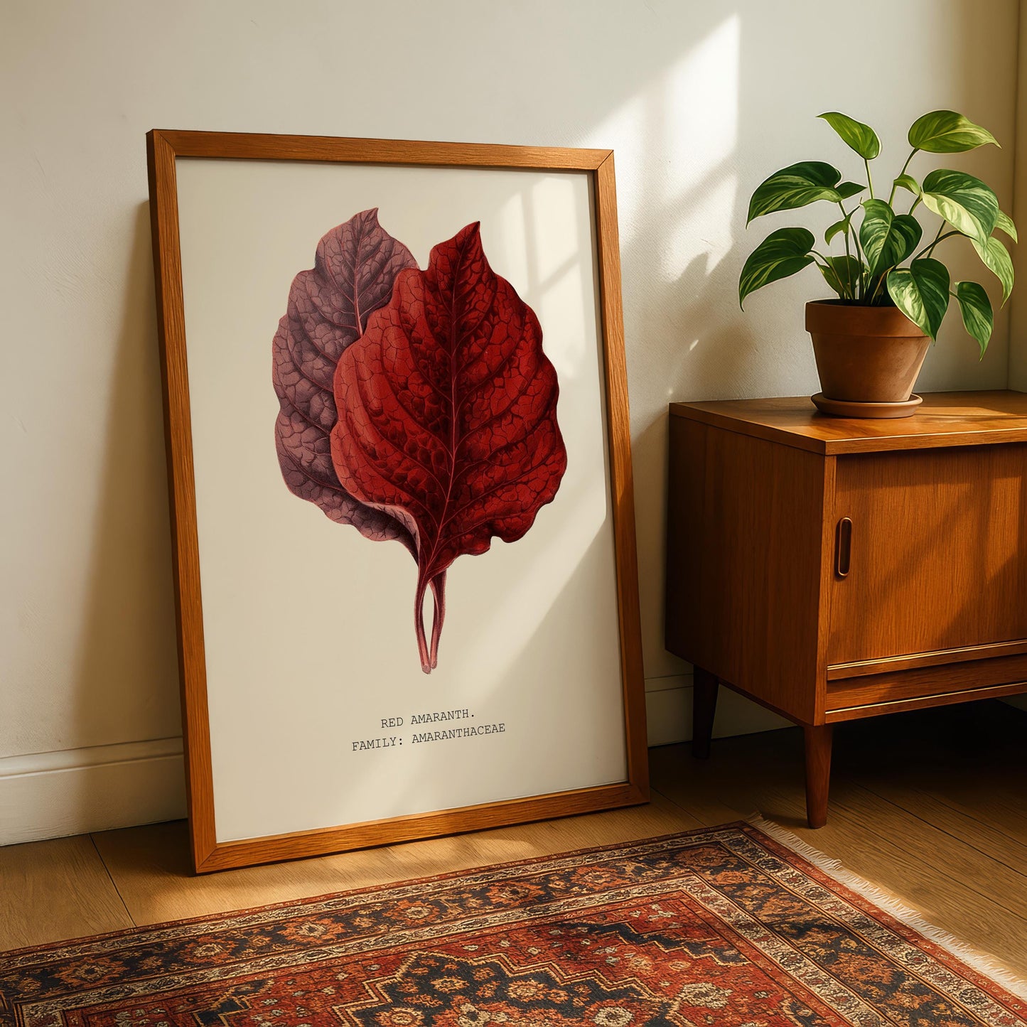 Red Amaranth Botanical Print