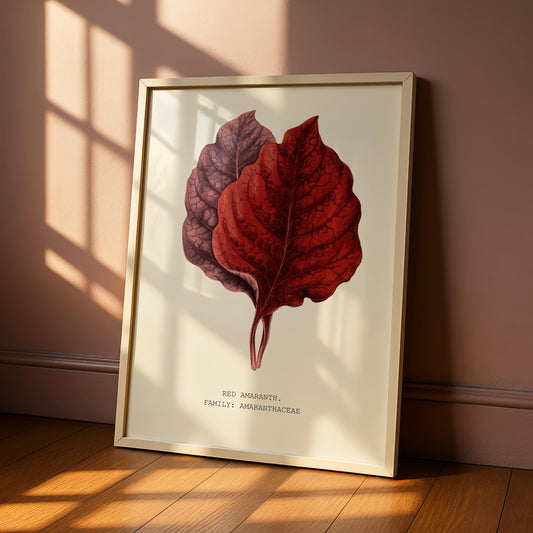 Red Amaranth Botanical Print