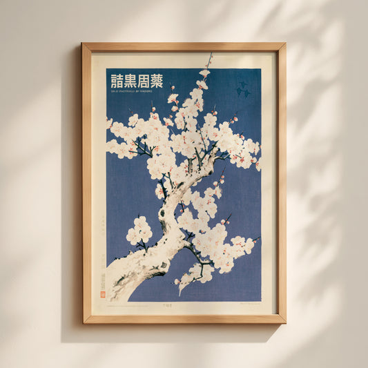 Vintage Plum Blossom Print