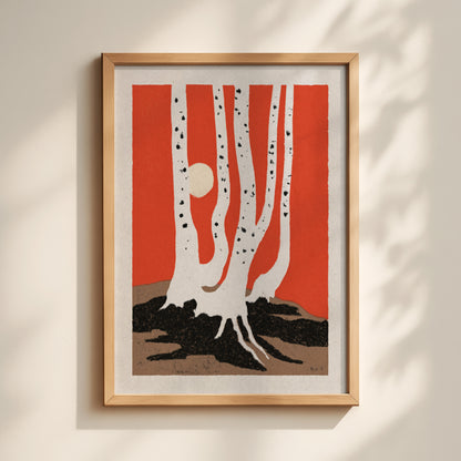 White Birch Trees Print