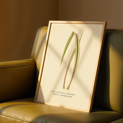Variegated Yucca Print