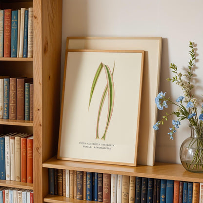 Variegated Yucca Print