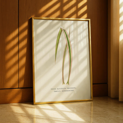 Variegated Yucca Print