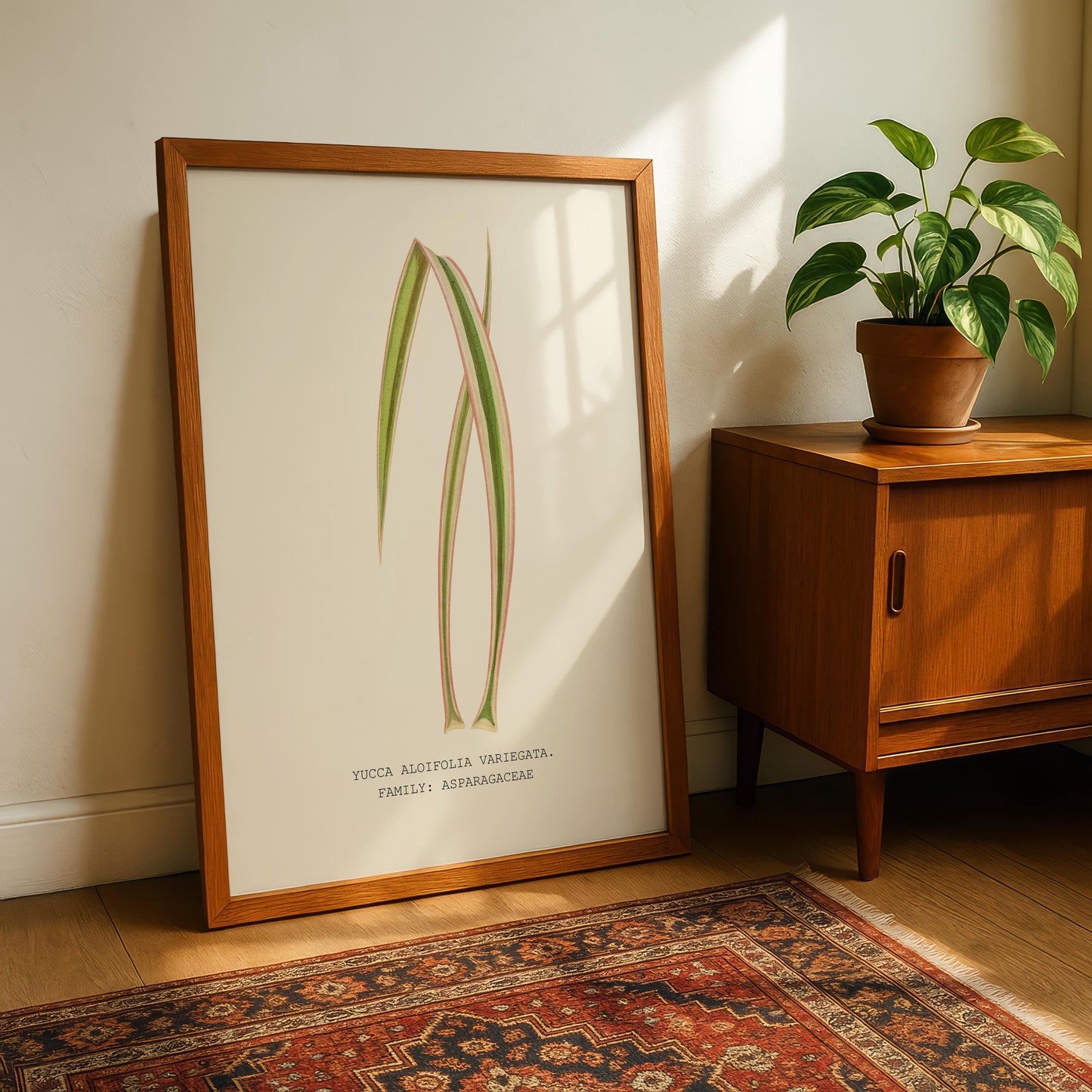 Variegated Yucca Print