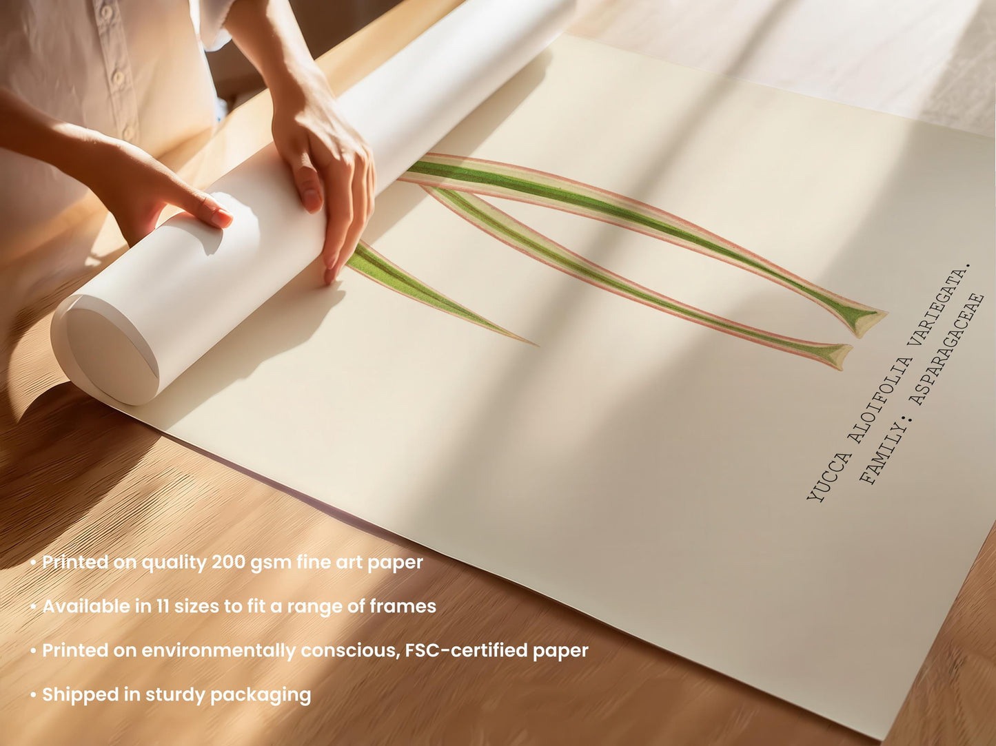 Variegated Yucca Print