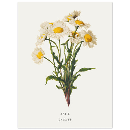 b0107854-853d-4952-bebb-6bdd533e4498