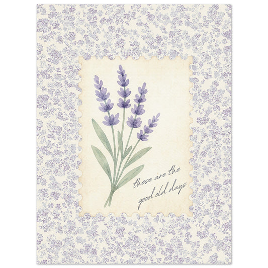 ba525992-9f62-4d03-83fc-794dbed81916