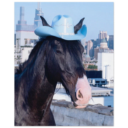 c871eb93-6c99-44fe-8ea1-594262a14361