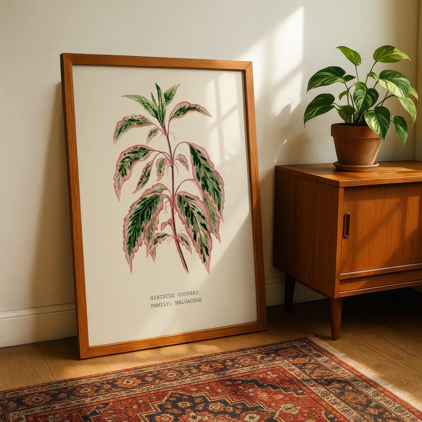 a framed botanical illustration of a plant with large leaves, placed on a wooden cabinet next to a potted plant.