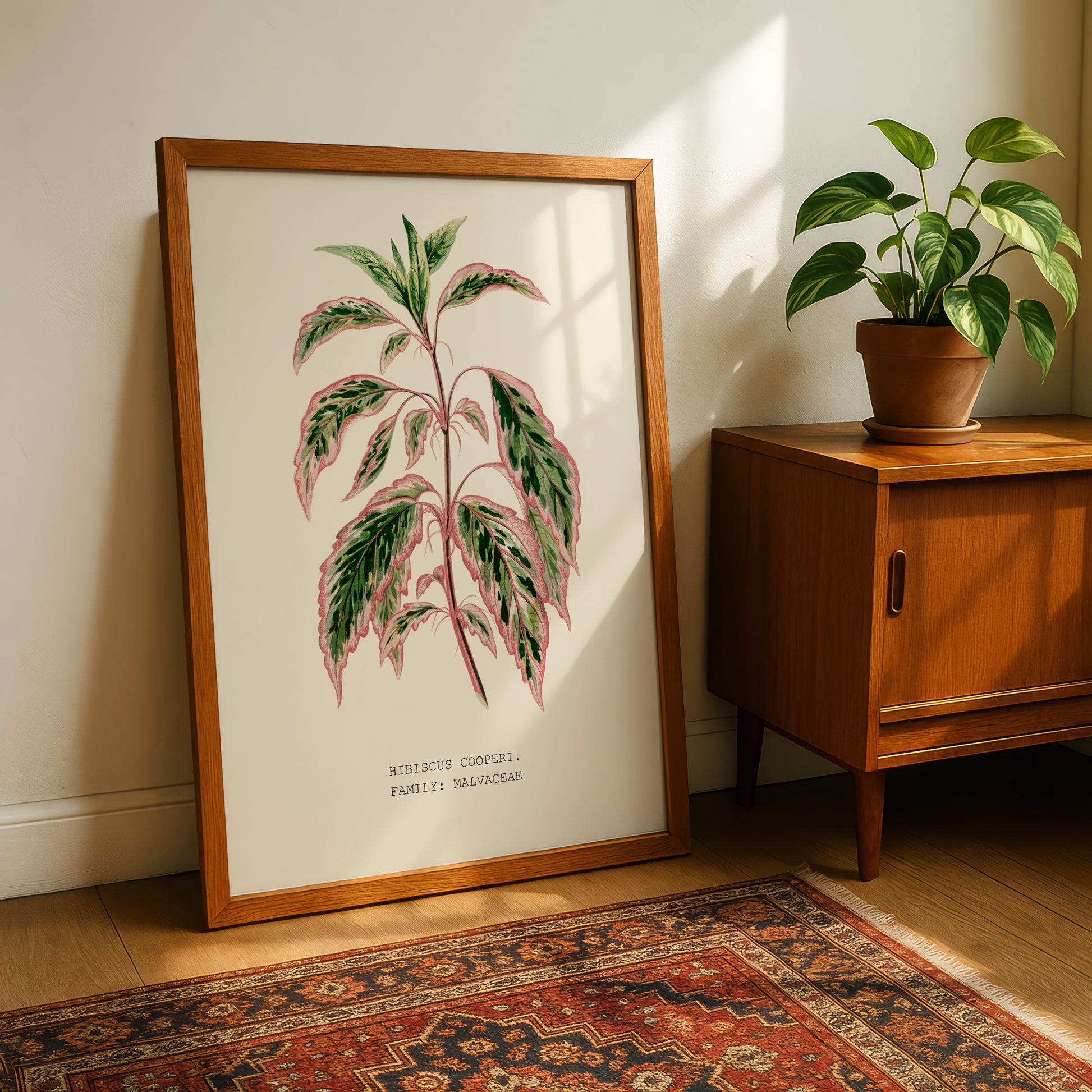a framed botanical illustration of a plant with large leaves, placed on a wooden cabinet next to a potted plant.