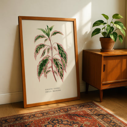 a framed botanical illustration of a plant with large leaves, placed on a wooden cabinet next to a potted plant.