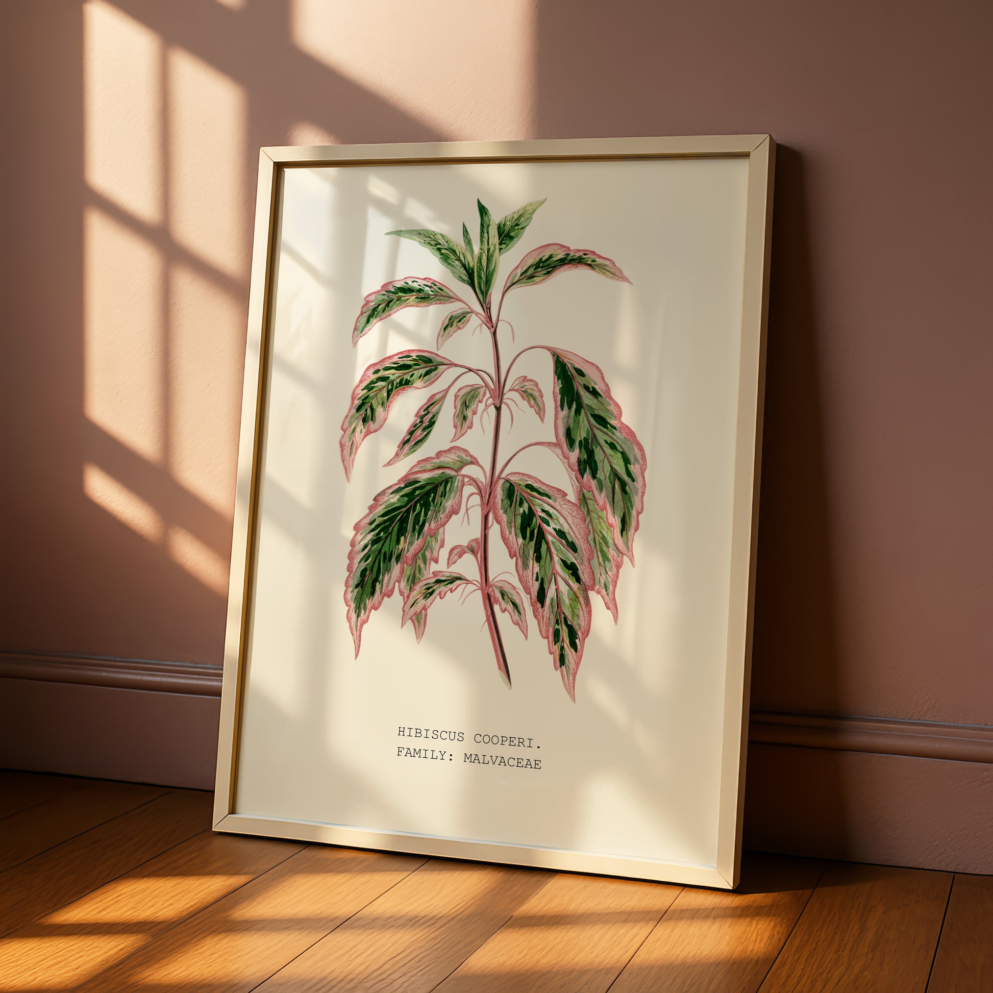 A framed botanical illustration of a tropical plant with large leaves and a pink stem is displayed on a wooden floor against a pink wall.